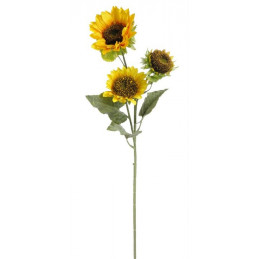 Słonecznik x3, 91cm