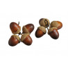 Żołędzie 4 cm w peczku 12 szt/paczka