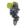 Winogrono 15 cm -sztuczny owoc
