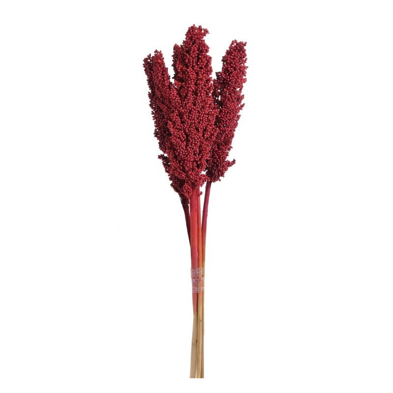 Indian corn kol , pacz/5 szt 75 cm