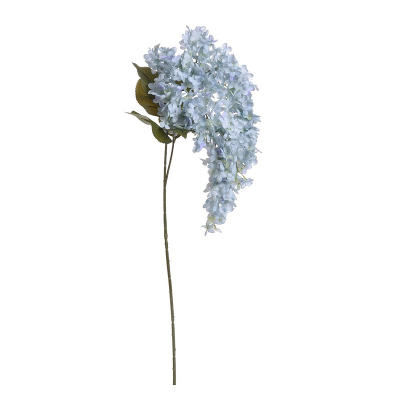 Hortensja bukietowa x2 120 cm