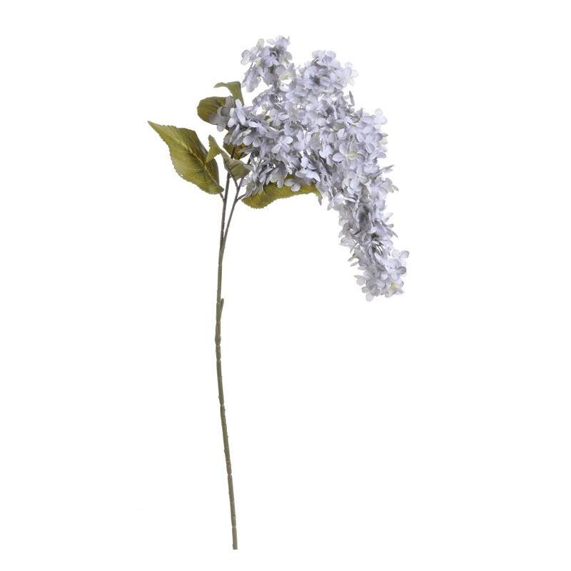 Hortensja bukietowa x2 120 cm