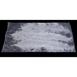 Pióra strusia 30-35 cm