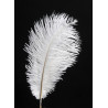 Pióra strusia 20-25cm, 3szt- paczka