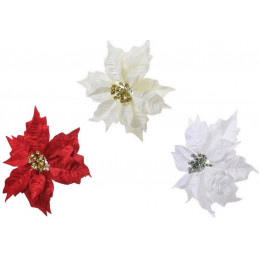 Gwiazda betlejemska duża na klipie 24 cm