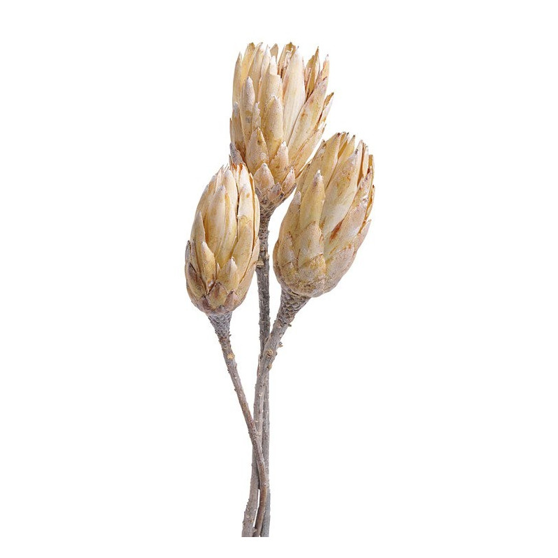 Repens stone washed 35-40 cm 3szt/pacz - susz