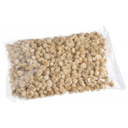 Casurina pods wyb. pacz.500g- susz