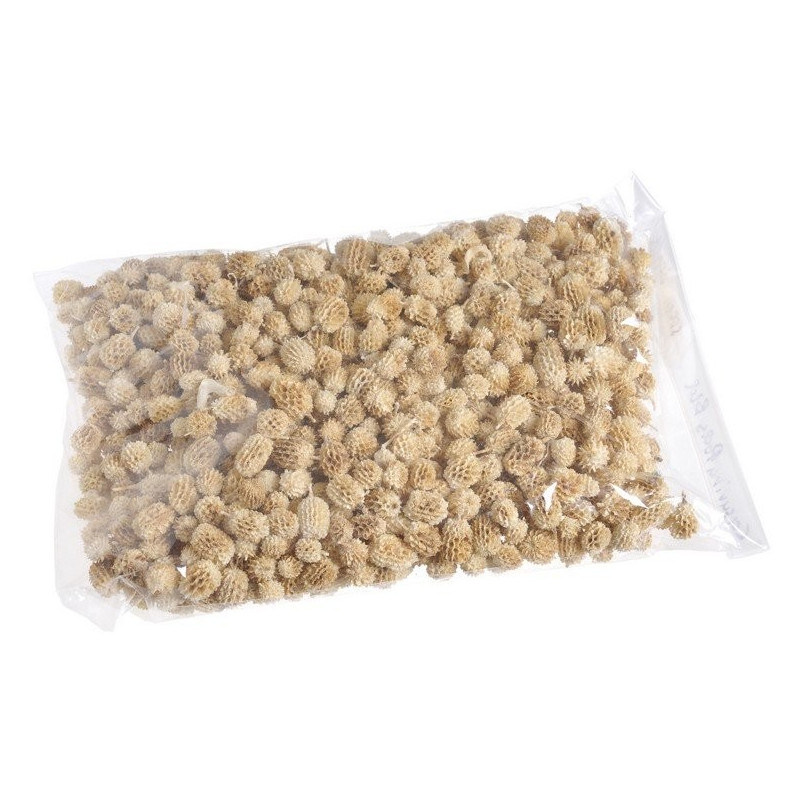Casurina pods wyb. pacz.500g- susz