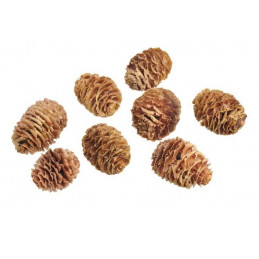 Strictum jasne główki-pacz.200 g - susz