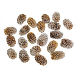 Meridianum natural pacz/200g  susz