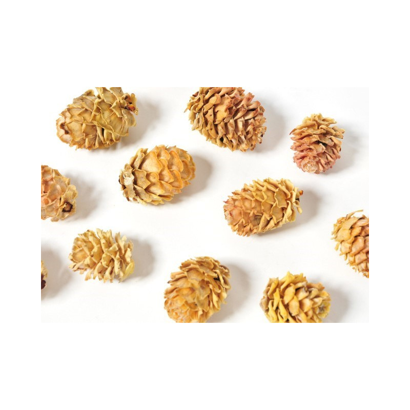 Salignum jasne glowki S -susz 200 g