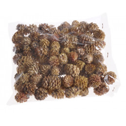 Salignum jasne główki S -susz 200 g