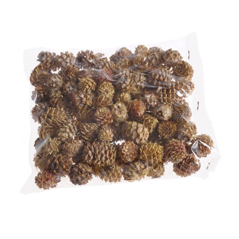 Salignum jasne główki S -susz 200 g