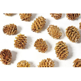 Salignum jasne główki S -susz 200 g