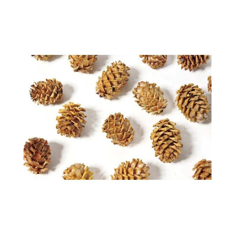 Salignum jasne główki S -susz 200 g