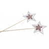 Pik gwiazda 24-8cm, 2 szt