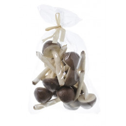 Grzybek_4,5 x 10 cm 12szt/paczka