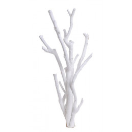 Gałęzie drzewa herbacianego 53cm, 5szt-pęczek ŚNIEŻNA BIEL