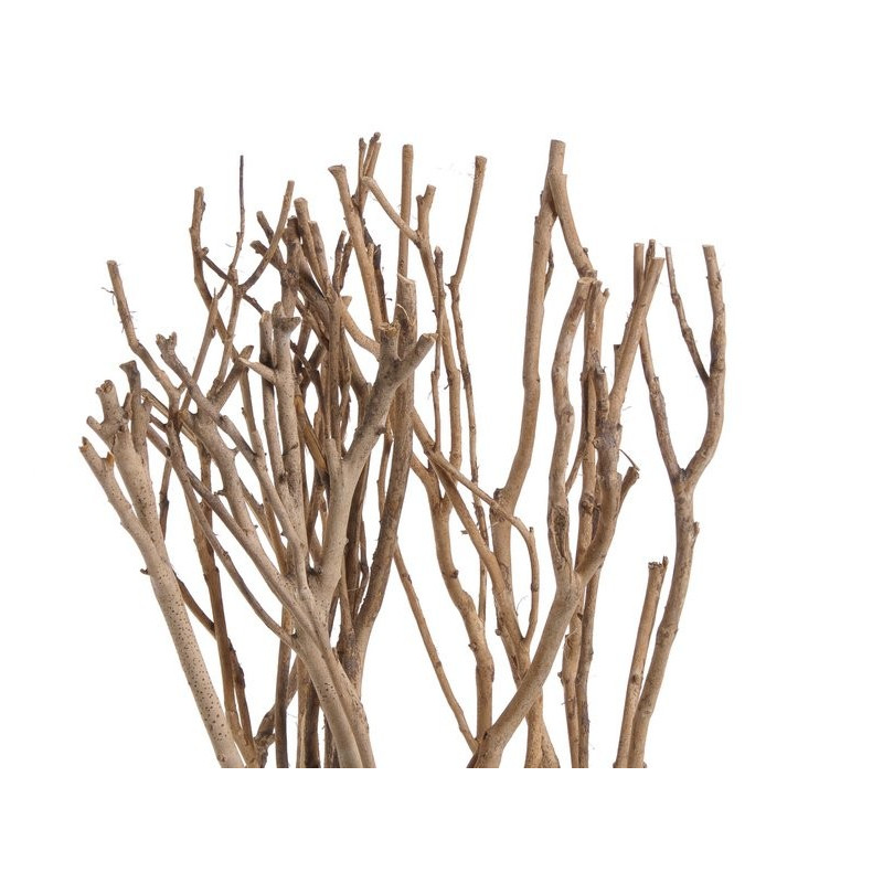 Gałęzie drzewa herbacianego N 72cm, 6szt