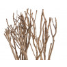 Gałęzie drzewa herbacianego N 72cm, 6szt