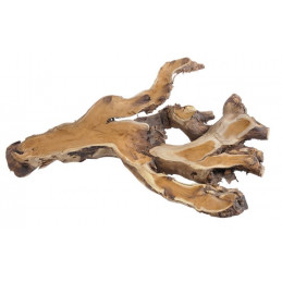 Korzeń morwy N 48 cm NATURALNY