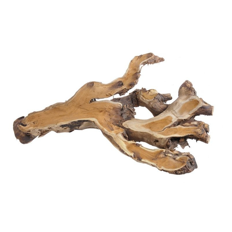 Korzeń morwy N 48 cm NATURALNY