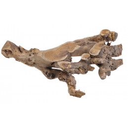 Korzeń morwy N 48 cm NATURALNY