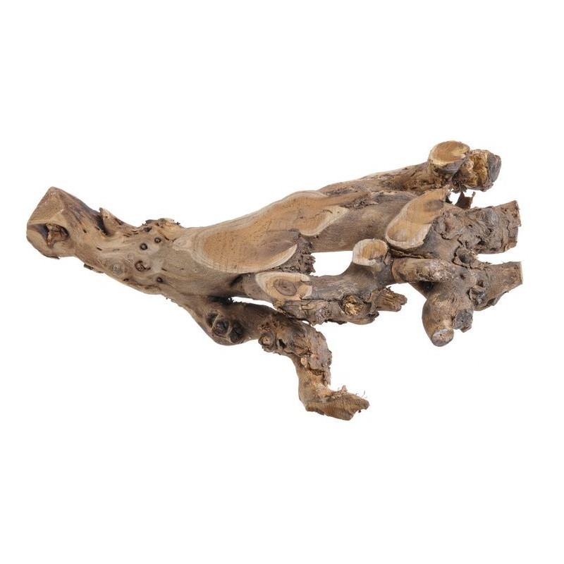 Korzeń morwy N 48 cm NATURALNY