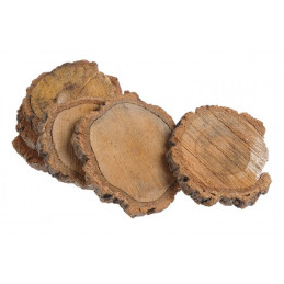 Plastry kasztanowca N 9-17cm, 6szt