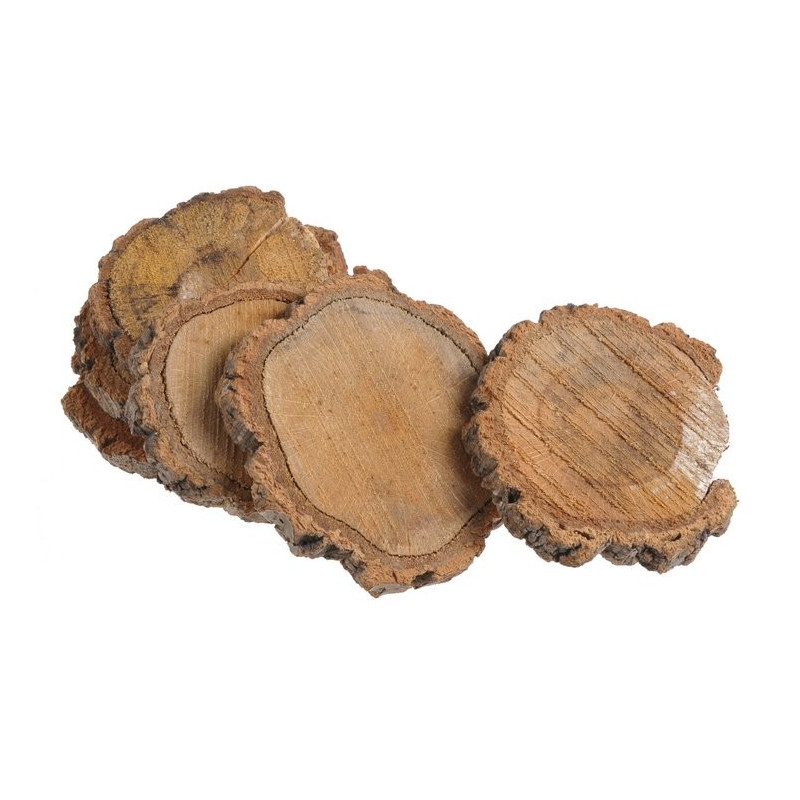 Plastry kasztanowca N 9-17cm, 6szt