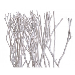 Gałęzie drzewa herbacianego WExtra 60cm, 6szt/paczka