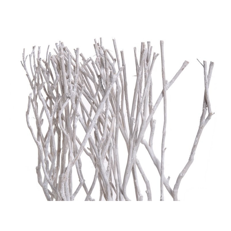 Gałęzie drzewa herbacianego WExtra 60cm, 6szt/paczka