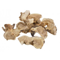 Gałęzie drzewa herbacianego WExtra 60cm, 6szt/paczka