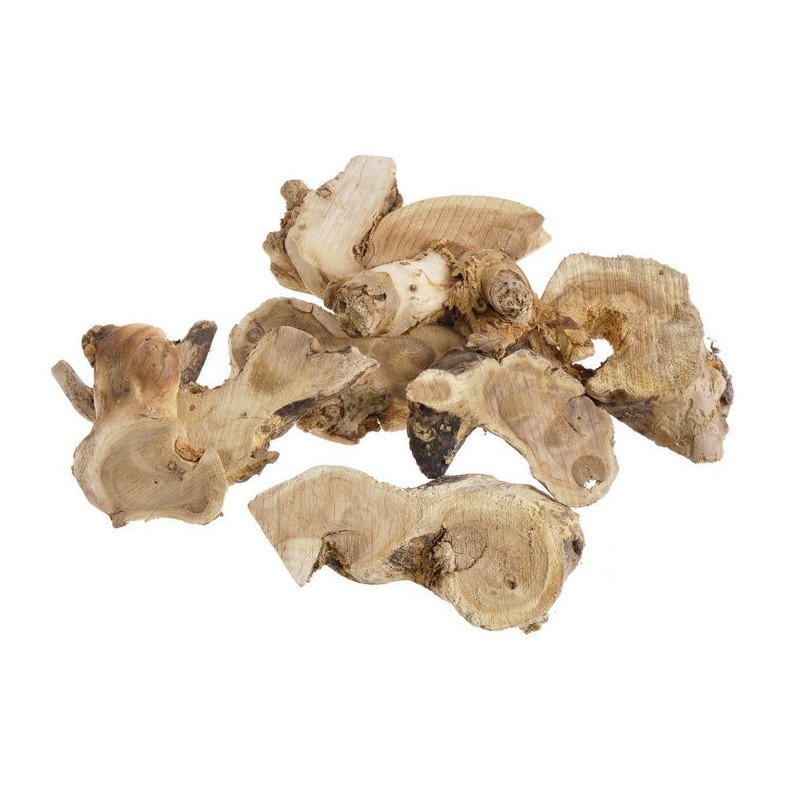 Gałęzie drzewa herbacianego WExtra 60cm, 6szt/paczka