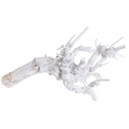 Korzeń morwy W Extra 58 cm WYBIELANY