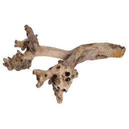 Korzeń morwy N 48 cm NATURALNY