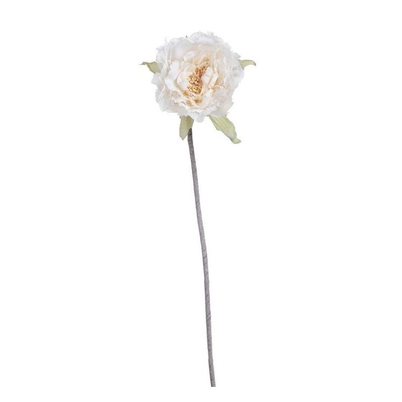 Róża koronkowa średnia 46 cm