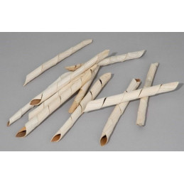 Bark curl L15-17cm paczka/100 sztuk