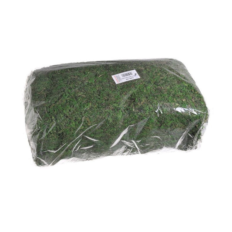 Mech dekoracyjny 12x20x35 cm