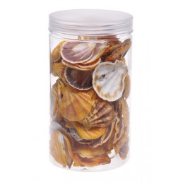 Kolorowe muszelki 350g tuba MIX KOLORÓW