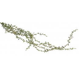 Starzec Rowleya 95 cm - sztuczna roślina