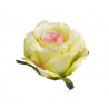 Główka róży duża, 8cm 12szt/paczka MIX KOLORÓW