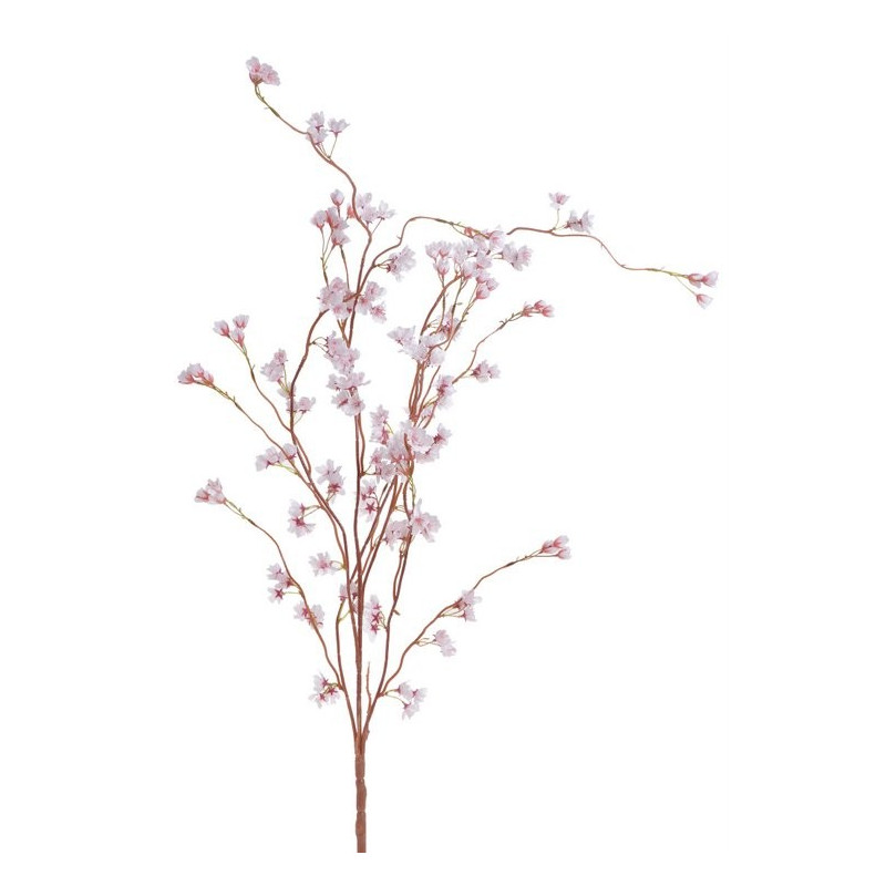 Gałązka kwitnącej sakury