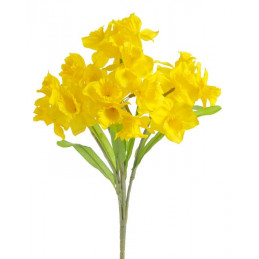 Bukiet żonkili x 21 40 cm MIX KOLORÓW