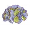 Główka hortensji duża 6szt-pacz 18 cm MIX KOLORÓW