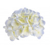 Główka hortensji duża 6szt-pacz 18 cm MIX KOLORÓW