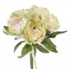 Bukiet piwonii NEW 30 cm MIX KOL