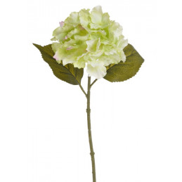 Hortensja x1 36 cm MIX KOLORÓW