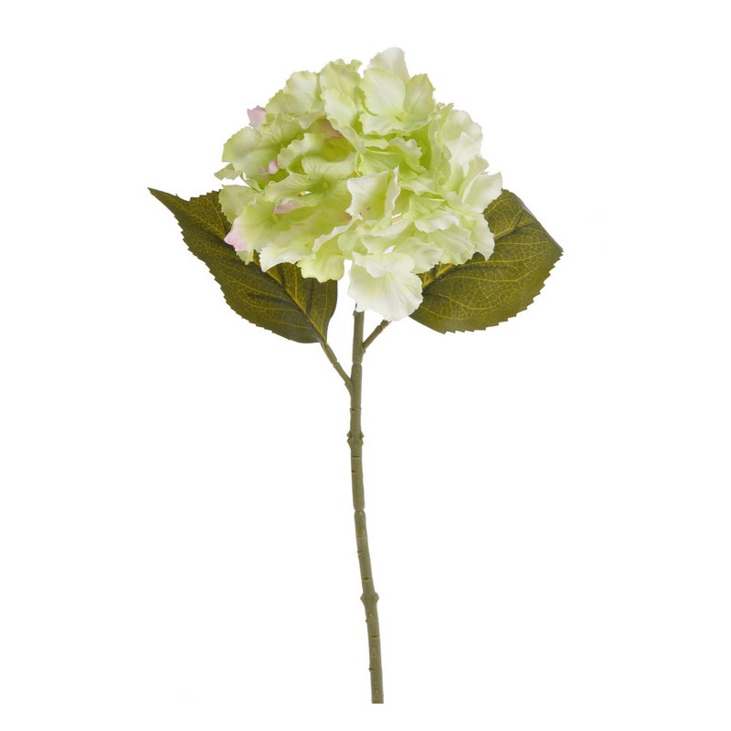 Hortensja x1 36 cm MIX KOLORÓW