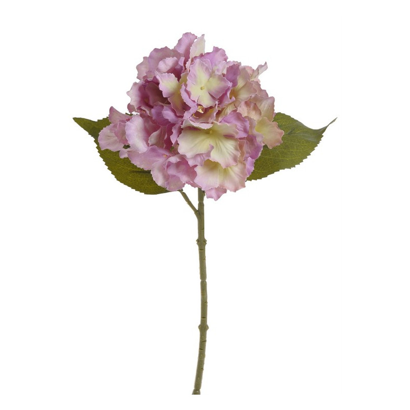 Hortensja x1 36 cm MIX KOLORÓW